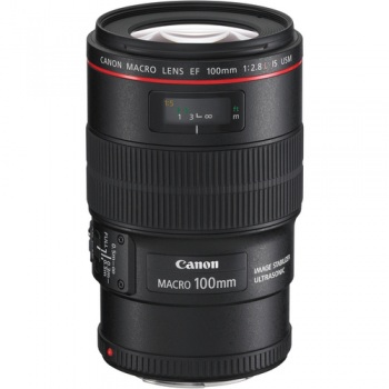 Canon EF 100mm f/2.8L Macro IS
