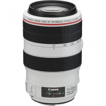 Canon EF 70-300mm f/4-5.6L IS 