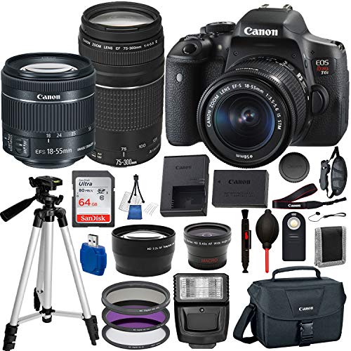 Canon EOS Rebel T6i Digital SLR Camera with EF-S 18-55mm IS STM and EF 75-300mm Lens (Black) 19PC Professional Bundle