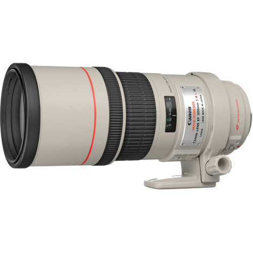 Canon EF Telephoto Lens for Ca
